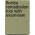 Florida Remediation Tool with ExamView