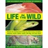 The Children's Encyclopedia of Animals