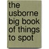 The Usborne Big Book of Things to Spot