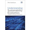 Understanding Sustainability Economics door Peter Soderbaum