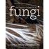 21St Century Guidebook To Fungi With Cd