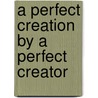A Perfect Creation By A Perfect Creator door Luis C. Ramirez
