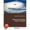 Effects of Hurricane Isabel in Virginia door Ronald Cohn