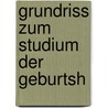 Grundriss Zum Studium Der Geburtsh door Bumm Ernst