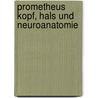 Prometheus Kopf, Hals Und Neuroanatomie by Michael Schünke