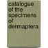 Catalogue Of The Specimens Of Dermaptera