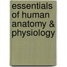 Essentials of Human Anatomy & Physiology door Elaine Marieb