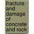 Fracture and Damage of Concrete and Rock
