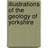 Illustrations of the Geology of Yorkshire