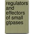 Regulators And Effectors Of Small Gtpases