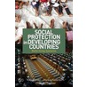 Social Protection in Developing Countries door Katja Bender