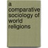 A Comparative Sociology Of World Religions