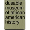 DuSable Museum of African American History by Ronald Cohn