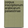 Corpus inscriptionum Arabicarum Palaestinae door M. Sharon
