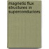 Magnetic Flux Structures in Superconductors