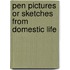 Pen Pictures Or Sketches From Domestic Life