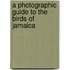 A Photographic Guide To The Birds Of Jamaica