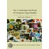Cambridge Yearbook Of European Legal Studies