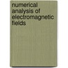 Numerical Analysis of Electromagnetic Fields door Pei-Bai Zhou