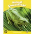 Penguin Kids 6 Animal Camouflage Reader Clil