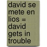 David Se Mete en Lios = David Gets in Trouble by Teresa Mlawer