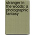 Stranger In The Woods: A Photographic Fantasy