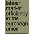 Labour Market Efficiency In The European Union
