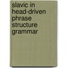 Slavic in Head-driven Phrase Structure Grammar door Robert D. Borsley