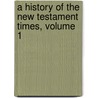 a History of the New Testament Times, Volume 1 door Adolf Hausrath