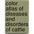 Color Atlas of Diseases and Disorders of Cattle