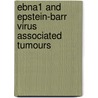 Ebna1 And Epstein-barr Virus Associated Tumours by Lori D. Frappier