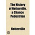 The History of Netterville, a Chance Pedestrian