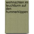 Weihnachten im Leuchtturm auf den Hummerklippen