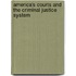 America's Courts And The Criminal Justice System