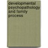 Developmental Psychopathology and Family Process