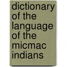Dictionary Of The Language Of The Micmac Indians by Silas Tertius Rand