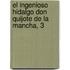 El Ingenioso Hidalgo Don Quijote de La Mancha, 3