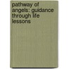 Pathway of Angels: Guidance Through Life Lessons door Lynn Fountain