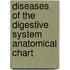 Diseases of the Digestive System Anatomical Chart