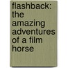 Flashback: The Amazing Adventures of a Film Horse door Gillian Rubinstein