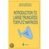 Introduction to Large Truncated Toeplitz Matrices