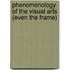 Phenomenology Of The Visual Arts (Even The Frame)