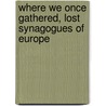 Where We Once Gathered, Lost Synagogues Of Europe door Andrea Strongwater
