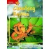 Heinemann English Readers Intermediate Science Pack