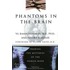 Phantoms in the Brain: Mars and Venus Starting Over