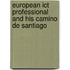 European Ict Professional And His Camino De Santiago