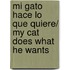 Mi Gato hace lo que Quiere/ My Cat Does What he Wants