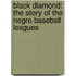 Black Diamond: The Story Of The Negro Baseball Leagues