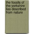 The Fossils Of The Yorkshire Lias Described From Nature