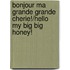Bonjour Ma Grande Grande Cherie!/Hello My Big Big Honey!